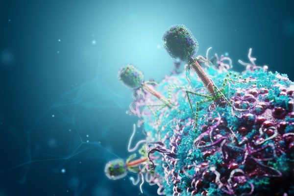 Colecțiile de Genomuri Virale Create de IA Ridică Îngrijorări Legate de Biosecuritate