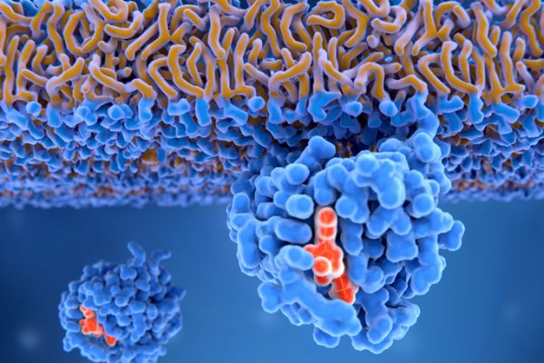 Cancerul pancreatic: Daraxonrasib dezvăluie vulnerabilități conduse de RAS