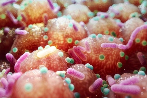 Legătura dintre boala Parkinson și bacteriile intestinale sugerează un tratament surprinzător de simplu