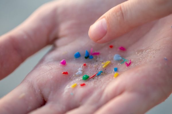 Microplasticul a fost descoperit în toate cele 17 mostre de artere umane testate de cercetători