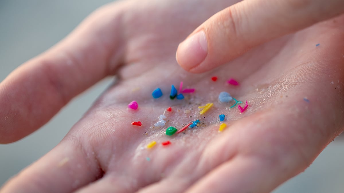 Microplasticul a fost descoperit în toate cele 17 mostre de artere umane testate de cercetători