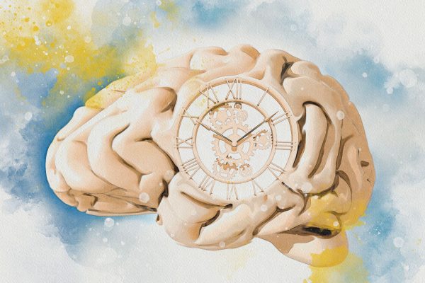 Ceasurile tisulare AI dezvăluie vârsta organelor individuale
