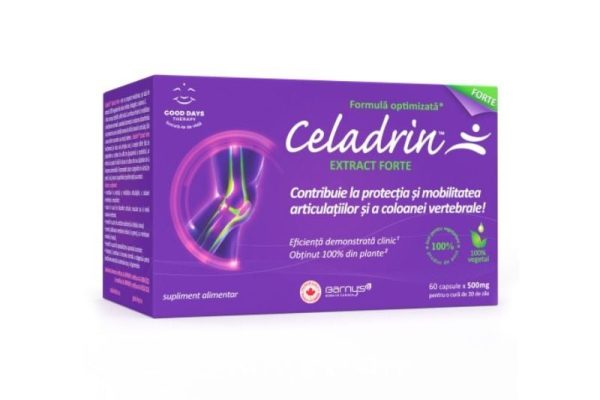 De ce acest ingredient secret îți poate transforma articulațiile în doar câteva săptămâni?