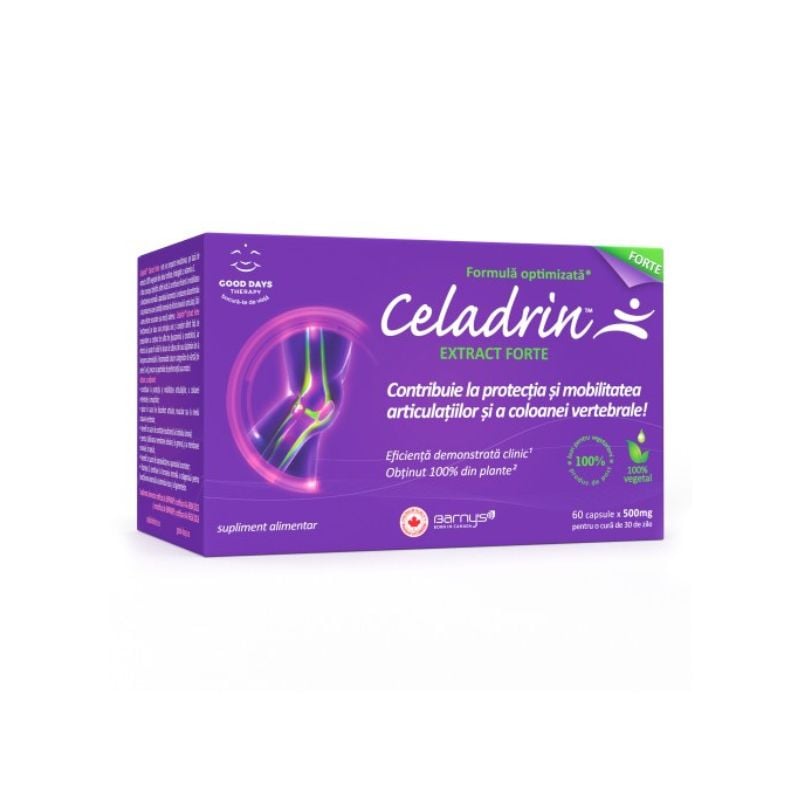 De ce acest ingredient secret îți poate transforma articulațiile în doar câteva săptămâni?