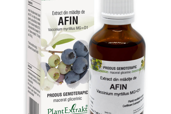 Cum ajută extractul din mladite de afin sănătatea ochilor și digestia?
