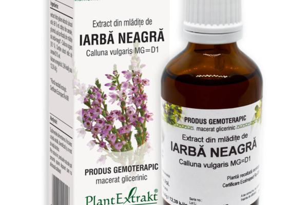 Cum ajută extractul din mladite de iarba neagra la sănătatea rinichilor?