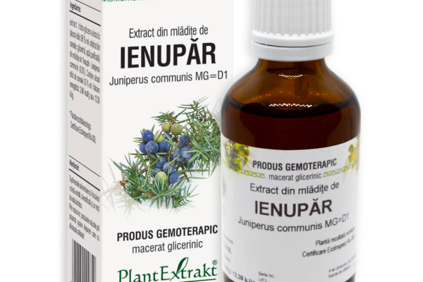 Ce este extractul din mladite de ienupar și cum ajută la detoxifierea ficatului?