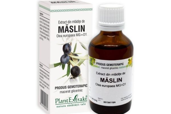 Cum ajută extractul din mlădițe de măslin să îți echilibreze tensiunea arterială?