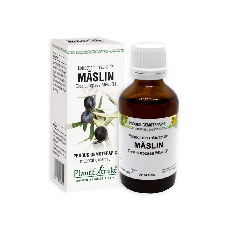 Cum ajută extractul din mlădițe de măslin să îți echilibreze tensiunea arterială?