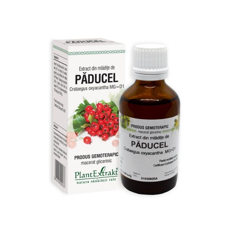 Ce este extractul din mladite de paducel și cum ajută la sănătatea inimii?