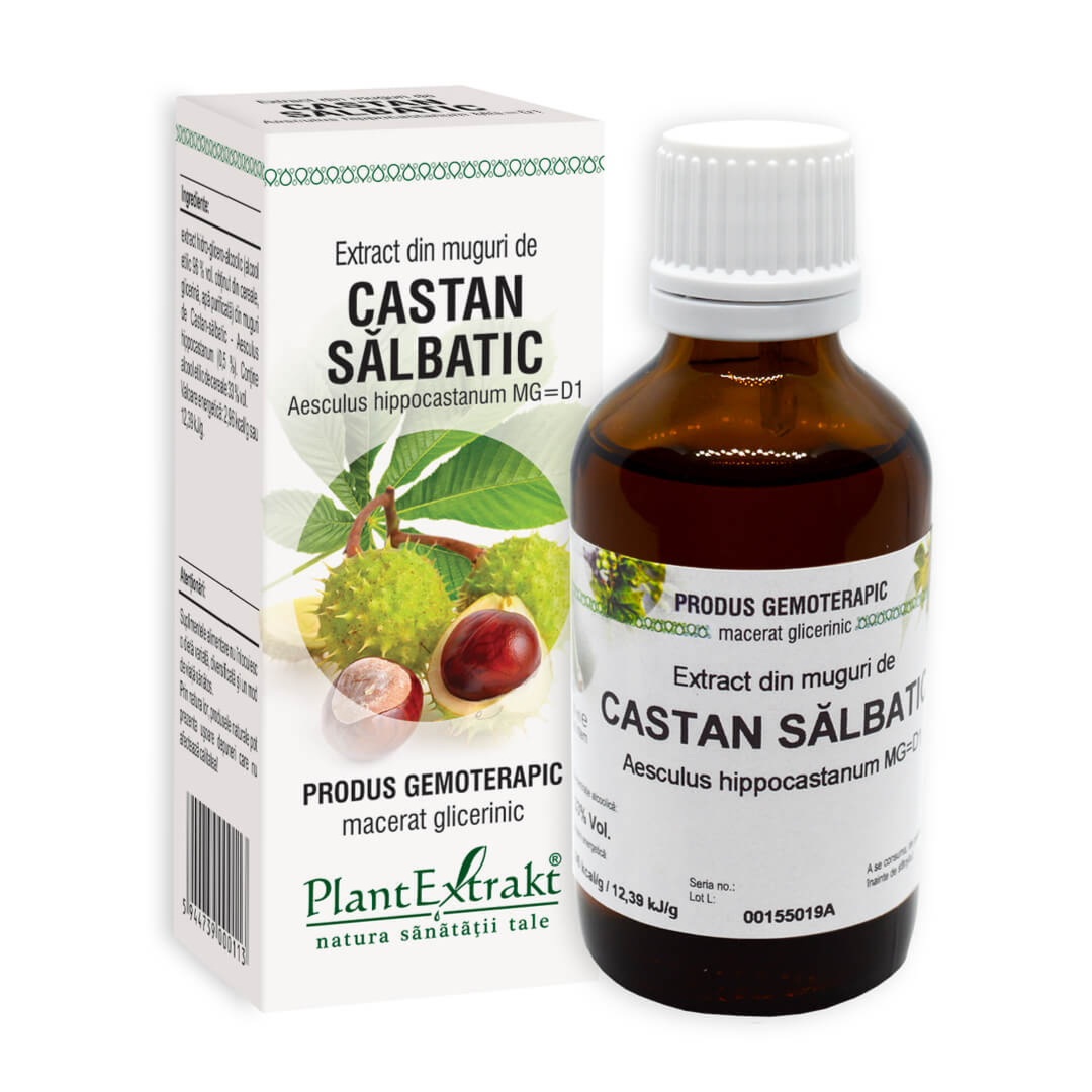 Ce este extractul din muguri de castan salbatic și cum ajută sănătatea venelor?