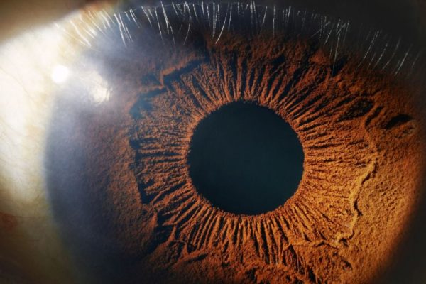 Revoluționar: Mitochondriile dintr-o parte a corpului unei femei au fost injectate în ochii săi