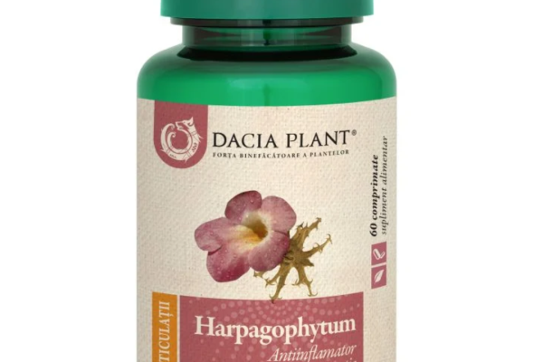 De ce planta „diavolului“ este secretul durerilor articulare?