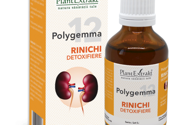De ce detoxifierea rinichilor este cheia unei sănătăți optime? Descoperă secretele!