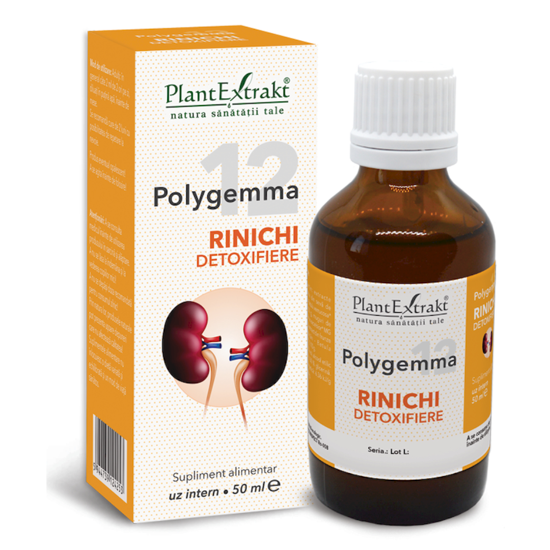 De ce detoxifierea rinichilor este cheia unei sănătăți optime? Descoperă secretele!