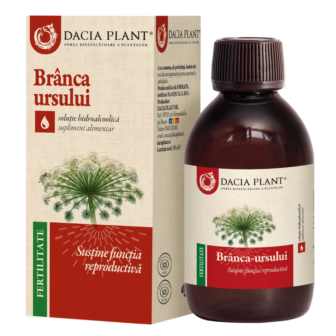 Ce este tinctura Branca Ursului și cum ajută la creșterea libidoului?