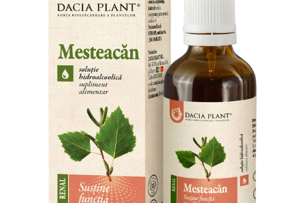Ce beneficii aduce tinctura de mesteacan pentru detoxifierea organismului?