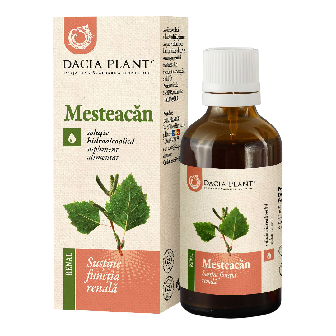 Ce beneficii aduce tinctura de mesteacan pentru detoxifierea organismului?