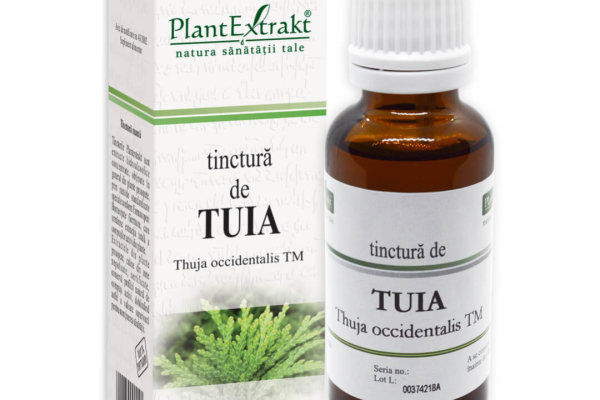 Ce este tinctura de tuia și cum ajută la rejuvenarea pielii?