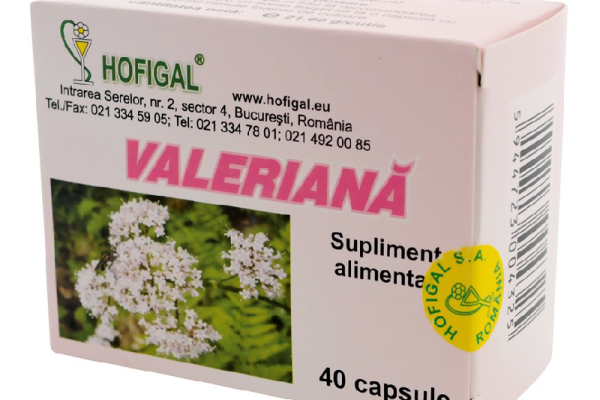 Ce beneficii are valeriana în combaterea stresului și insomnia? Recenzie și păreri.
