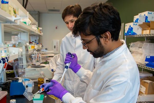Lansarea Acceleratorului AI BioDesign în Seattle pentru Avansarea Descoperirilor Biomedicale