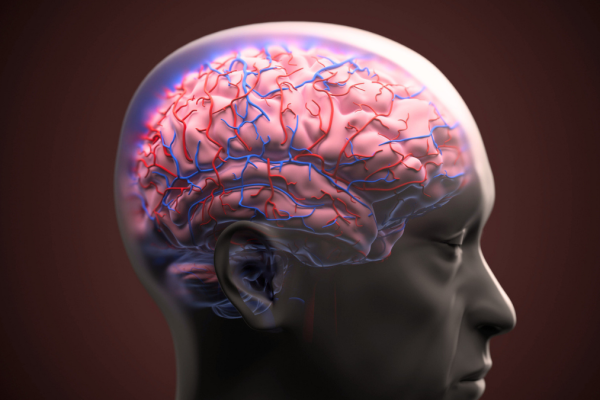 Bariera Hemato-Encefalică Reparată cu Succes în Modelele de Alzheimer