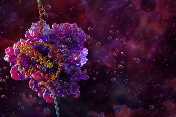 Descoperirea unui Instrument de Activare CRISPR Dezvăluie Genele Implicate în Rezistența la Medicamentele pentru Limfom