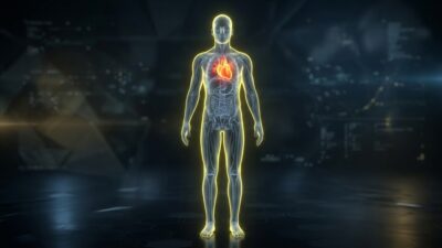 Inimi transplantate se adaptează după vârsta moleculară a receptorilor