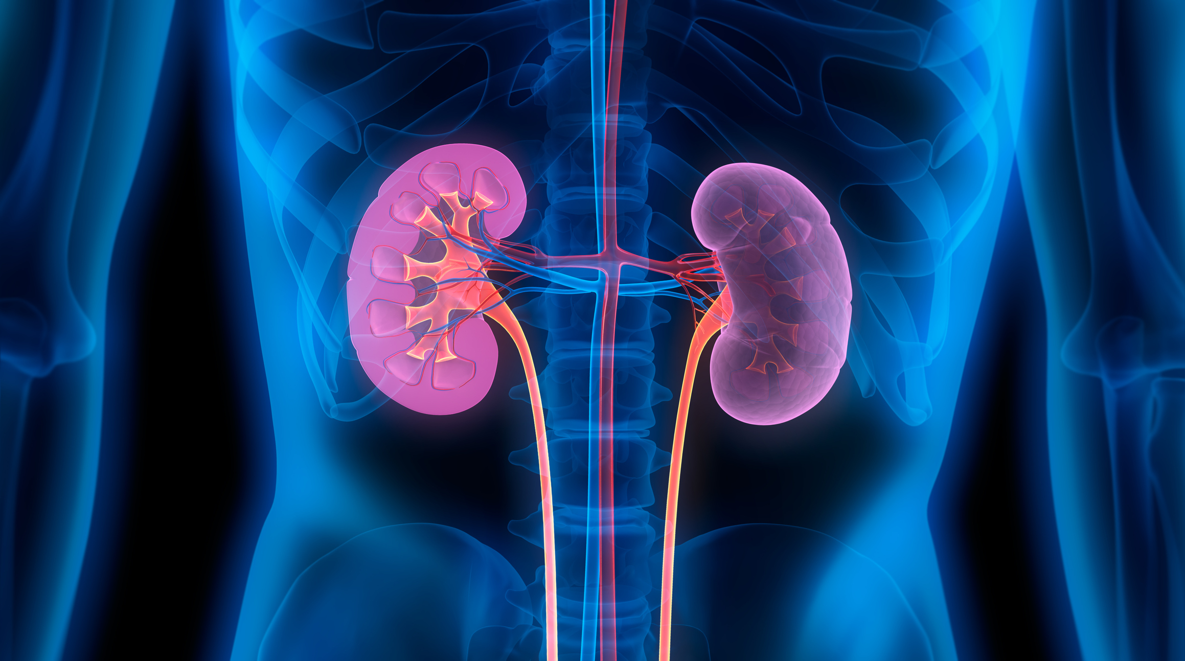 Xenotransplantul Renal Reușit, O Soluție Temporară Până la Allotransplantare