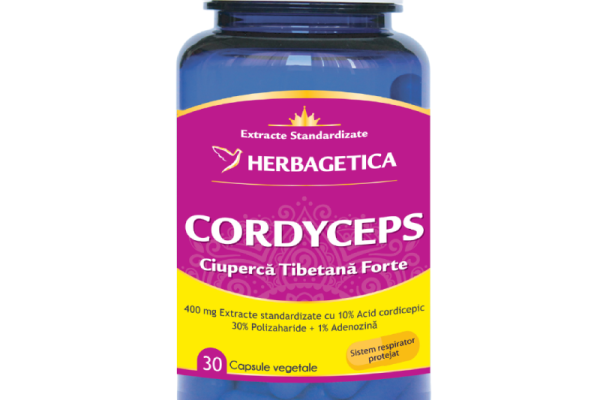 Ce este Cordyceps și cum ajută la creșterea vitalității organismului?