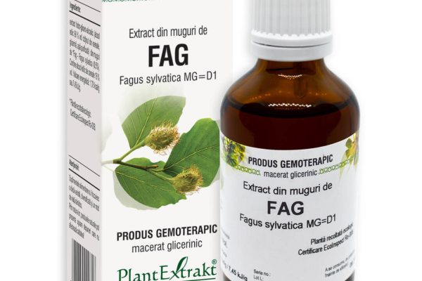 De ce mugurii de fag sunt secretul unui sistem urinar sanatos?