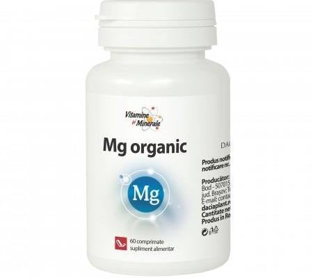 Ce este Magneziul Organic și cum ajută la reducerea stresului?