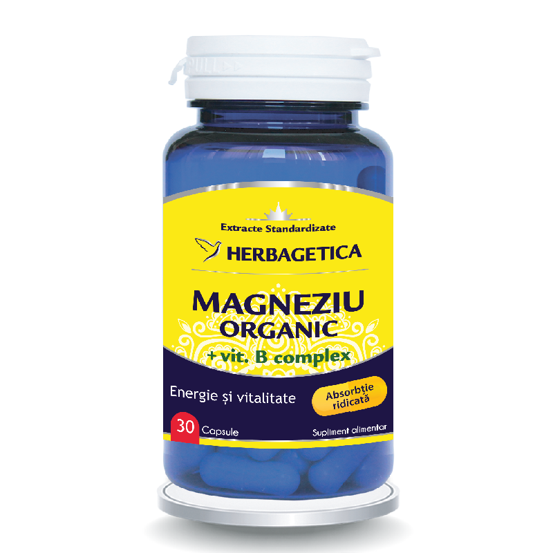 De ce magneziul și vitamina B sunt combinația secretă pentru energia ta zilnică?