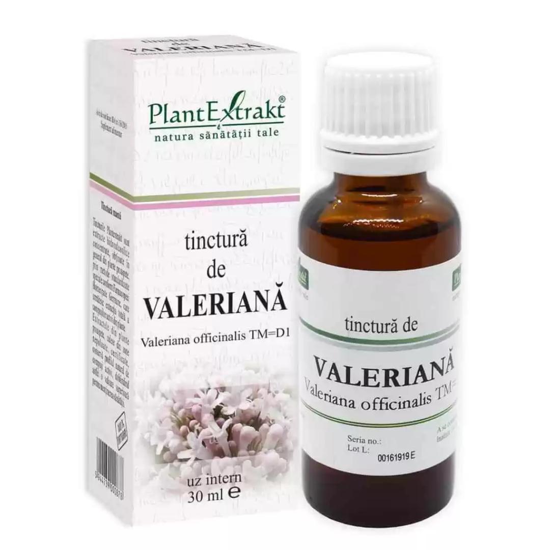 De ce tinctura de valeriana este secretul unui somn odihnitor?