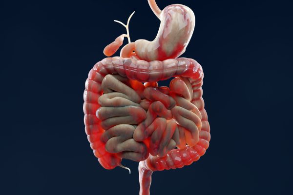 De ce continuă să se manifeste boala inflamatorie intestinală? Cercetătorii au găsit o pistă în mucoasa intestinală