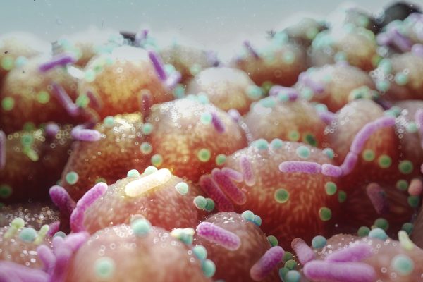 Testul bazat pe CRISPR oferă detectare rapidă a rezistenței antimicrobiene în medii cu resurse limitate