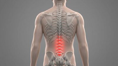O genă anti-senescență ar putea lupta împotriva deteriorării discului spinal
