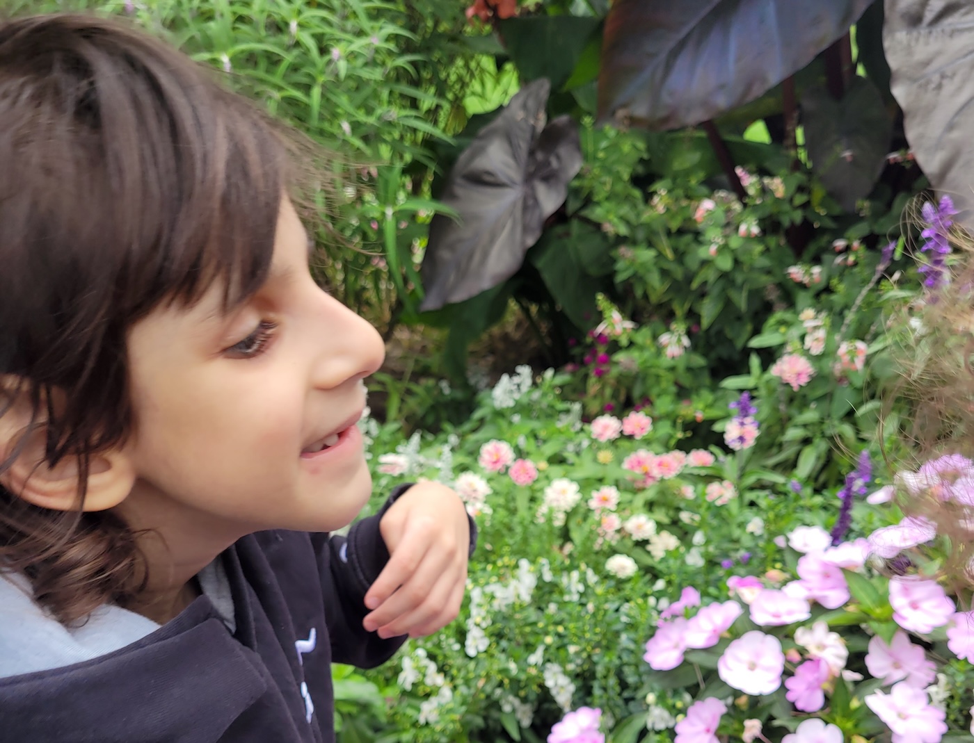 Odisseia Terapeutică a lui Riaan – Capitolul 5: Familia