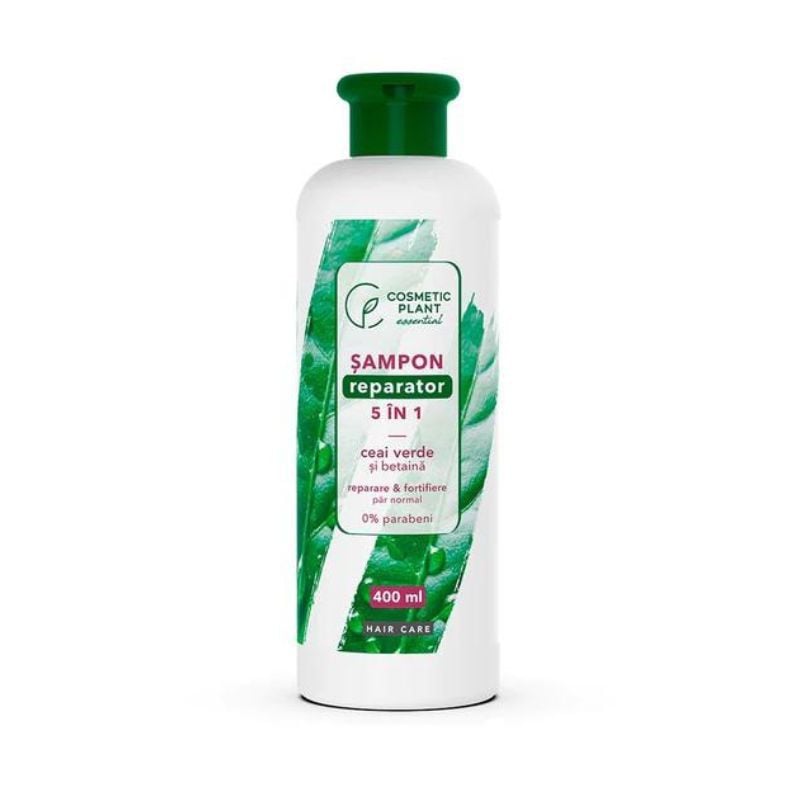 Știai că ceaiul verde poate transforma radical sănătatea părului tău?