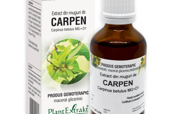 De ce mugurii de carpen sunt secretul unei respiratii mai sanatoase?